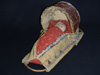 An Apache cradle covered in buffalo
