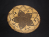 Apache tray