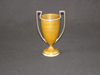 Tahoe Tavern Red Cross Trophy