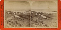 Headquarters on Tule Lake, North of Bluff