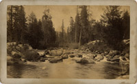 Lake Tahoe Area, Set of Thirteen Photos, 8-1/2