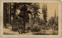 Lake Tahoe Area, Set of Thirteen Photos, 8-1/2