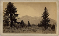 Lake Tahoe Area, Set of Thirteen Photos, 8-1/2