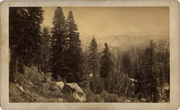 Lake Tahoe Area, Set of Thirteen Photos, 8-1/2
