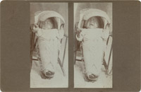 Pauite Indian Babies