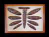 A frame of ten Northwest California brown/black obsidian blades
