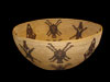 A rare Washo basket with black widow spiders and hanging bats
