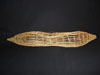 Washo fish carrier
