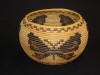Washo degikup basket by Sarah Jim Mayo